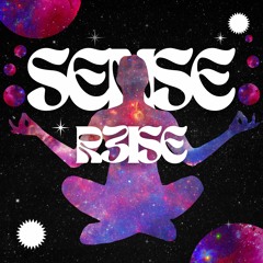 R3ISE - SENSE
