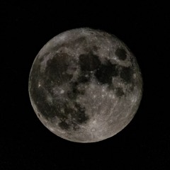 Snake - And - Monk - Fullmoon