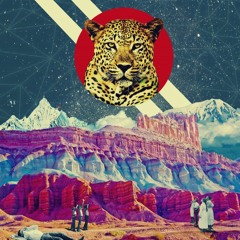 wild cats in space.