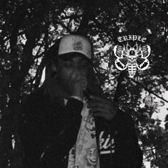 kiid888- Wallcrawler Pt 3 (prod. Rdagoon404)