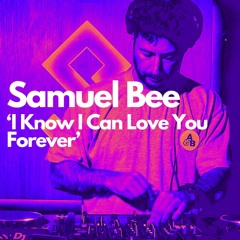 Hardsoul Feat Ron Carroll 'Back Together' (Samuel Bee Main Room Mix)