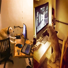 na 1v1 +youngestalan [pk x rxi]