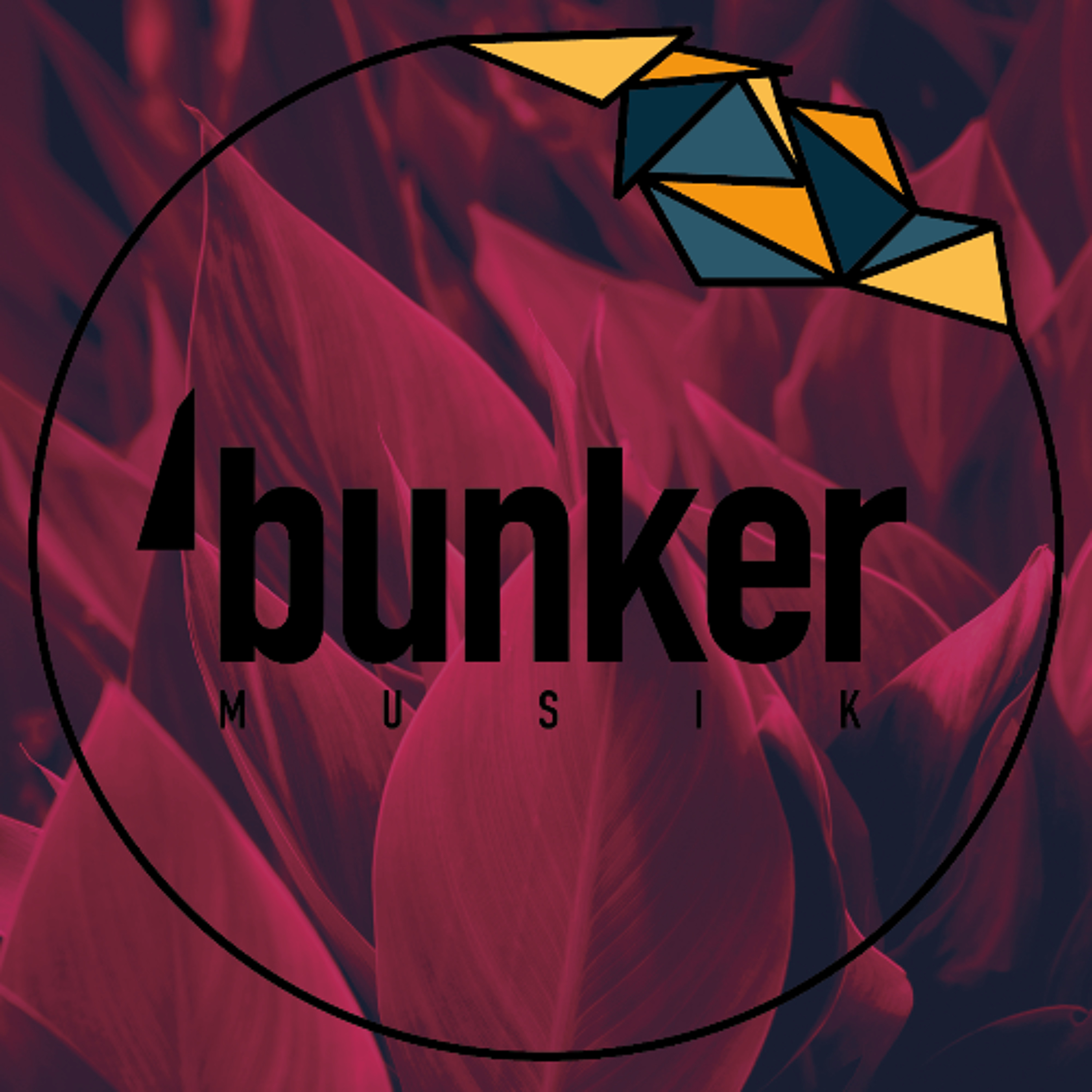 Bunkerfunk#213 by Marco Kehring (Pezzmen Music // Tschugge Mugge // Marburg) episode artwork