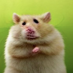 HAMPSTER DANCE GABBER DEATHMIX