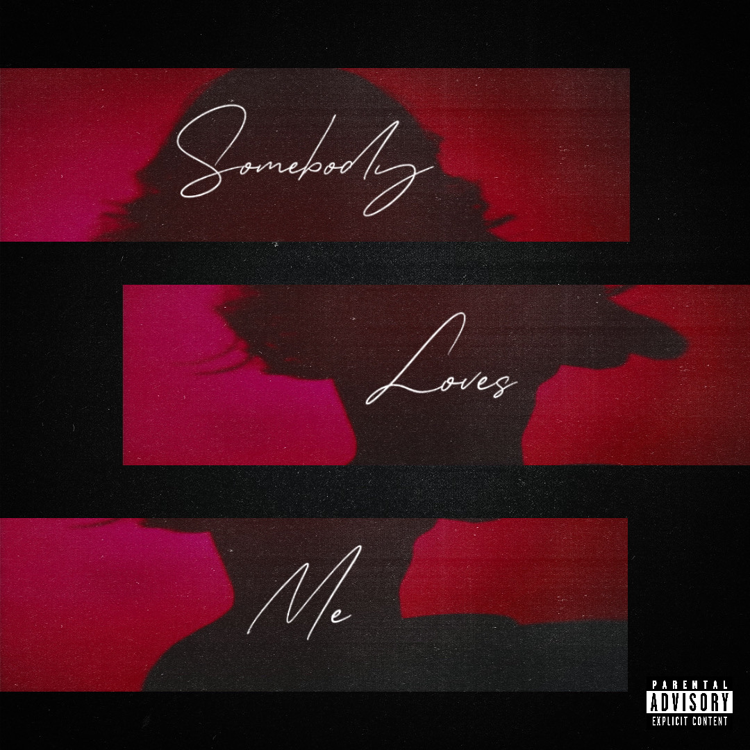 Stream Somebody Loves Me REMIX by LikeTheNight | Listen online for