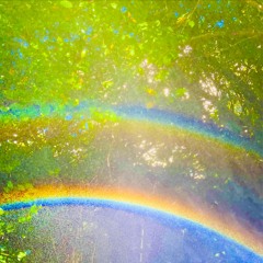 B3) 8.13.22 "steamroller”