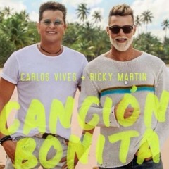 Carlos Vives, Ricky Martin - Canción Bonita(DJROY 2021 Edit)