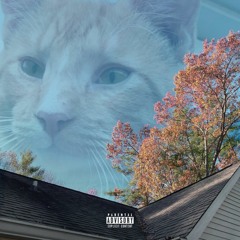 Surrounded By Strangers (p. GooceWithAC)