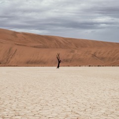 3 abril 2022 - Quinto domingo da Quaresma - Sl 125 (126)