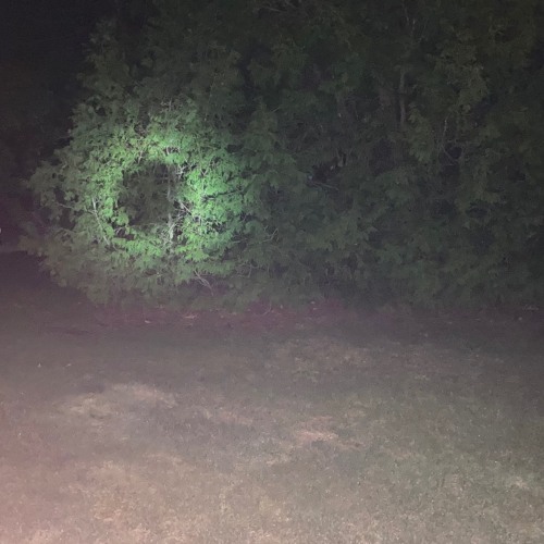 akiko - i wish i could kill u