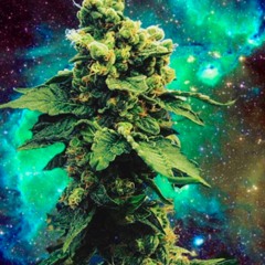 Green song(prod by kidkeva)