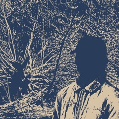 Another life in the wind