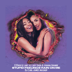 220 KID & Lany(Jonasu Remix)vs Lady Gaga & Ariana - Stupid Feelings Rain On Me (Carl James Mashup)