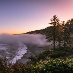 Humboldt Fog