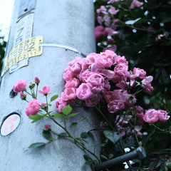 Nightmare / feat.符色