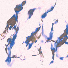 PREMIERE: Sonn Ten - Ethics [F4T20]