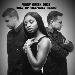 Funky Green Dogs - Fired Up (DeepNass Remix)