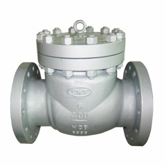 CWT Valve: The leading check valve supplier in Canada