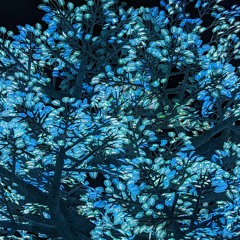 The Introduction To Art