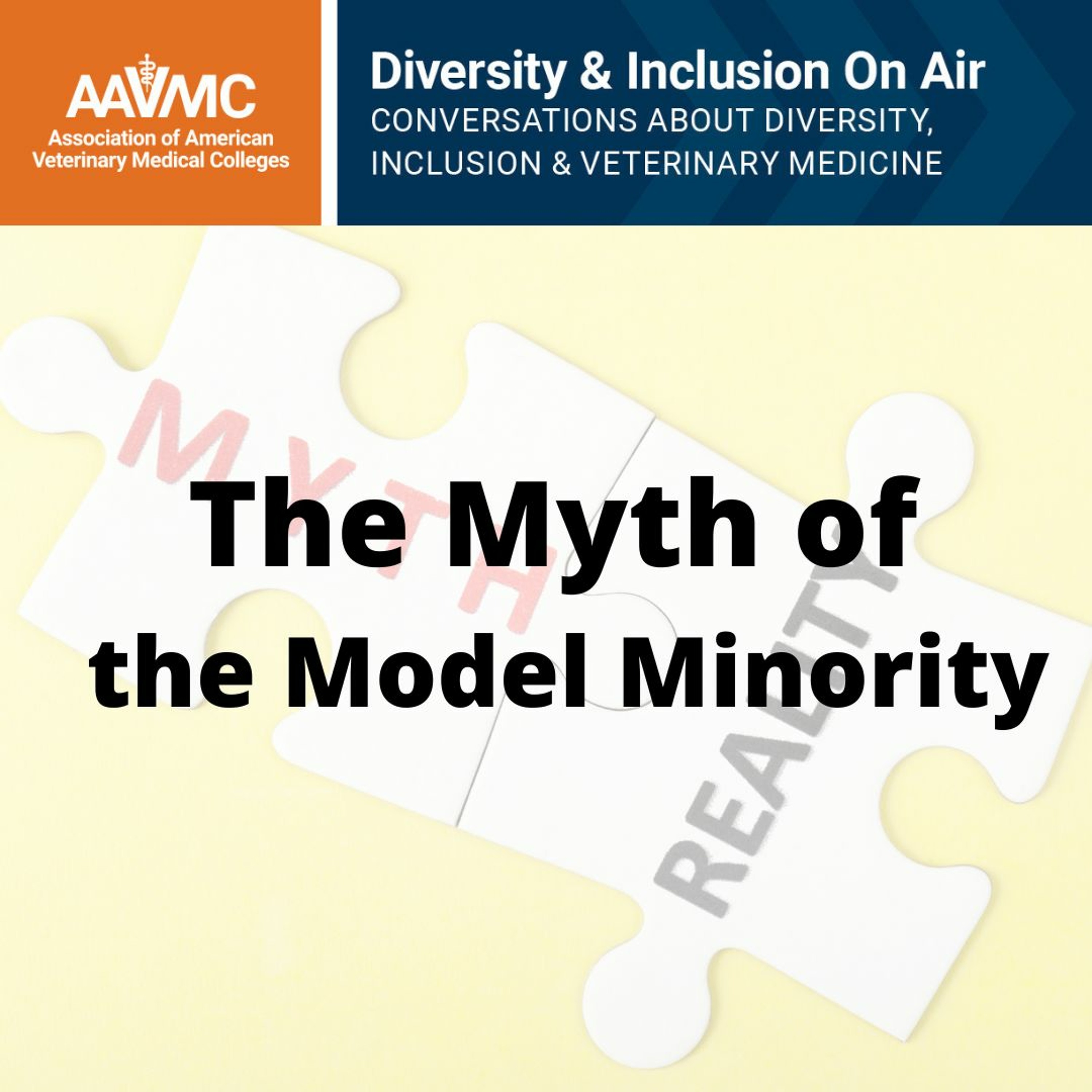 AAVMC\'s On Air: Conversations about Issues in Veterinary Medicine