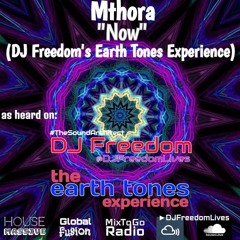 Now (DJ Freedom's Earth Tones Experience) [FreeMix Recordings]