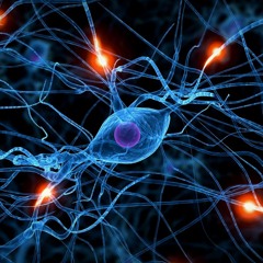 Neuro