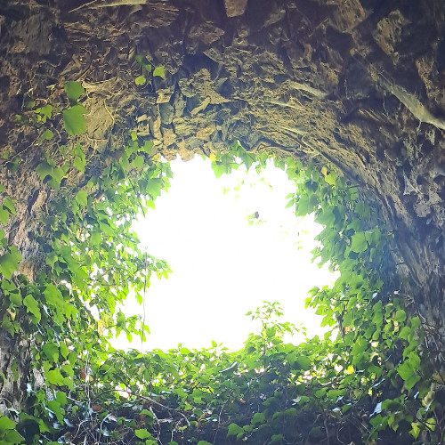 Lizards In The Old Stone Wall