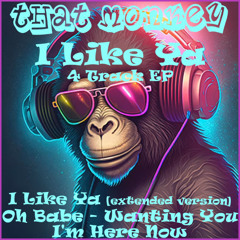 That Monkey - I'm Here Now