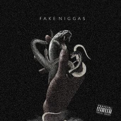 Fake Niggas