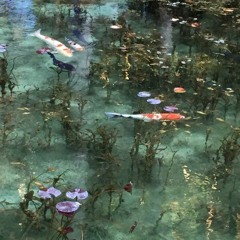 koi v2 x beemo x steve276