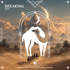 Seidy - Breaking