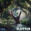 Download Video: Flutter