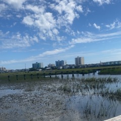 11:29pm (domesticsoul)