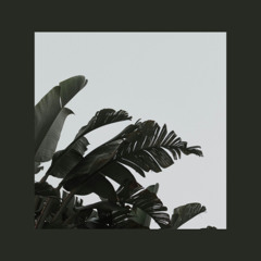 Mirzay - Rhythm Valley