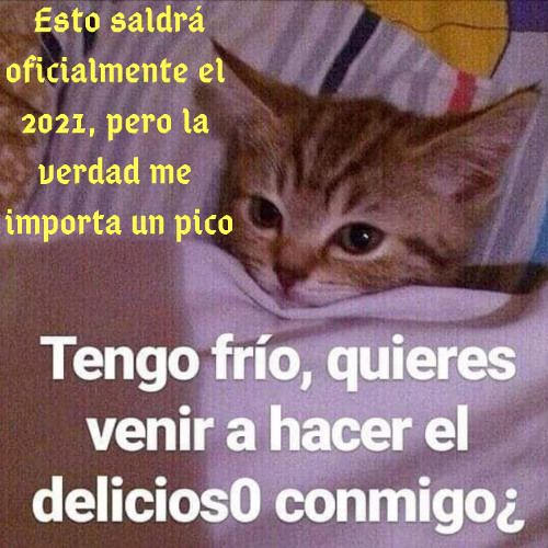 Con un Gato en Pichilemu