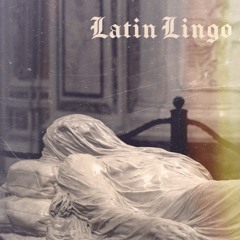 Latin Lingo