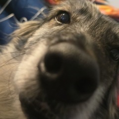 Mai Mix 2025 by 33ER