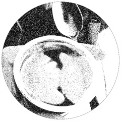 Gonsiori 02.09.25 - burnin' - Anni wSaara (B2B4ever) part 1