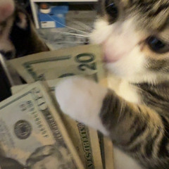 Raq Baby - Rich as Hell (Fast)