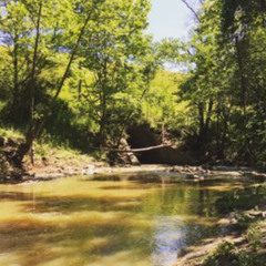 throwing up in the sink
