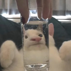 Newjeans-ETA cover (Prod. Uhero)