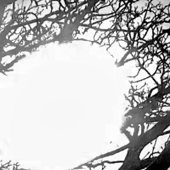 Under The Sun
