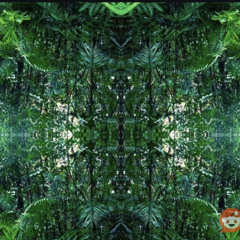 Into the Jungle (by Jason&Pascal Oliver)