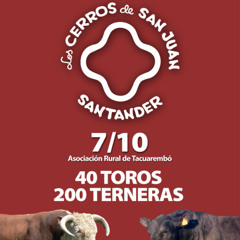 Virginia Mailhos - Remate Los Cerros de San Juan y Santander