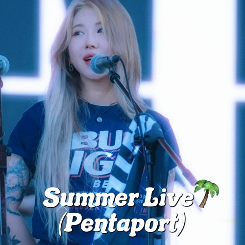 The Volunteers Summer Live Pentaport 2023