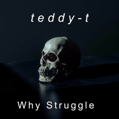 Teddy-T  Why  Struggle