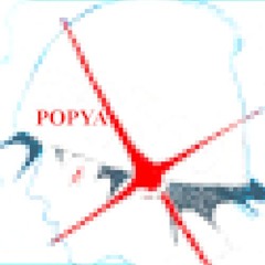 .☘︎ ݁˖ POPYA ✩°｡ ⋆⸜ 🎧✮