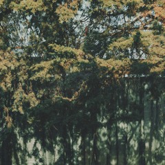 e/tape at Waking Life 2025