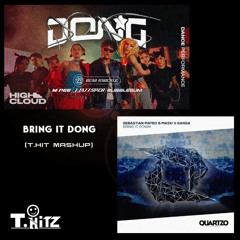 Bring It DONG(T.Hitz MashUp)[DEMO] -FULL DOWNLOAD IN DESCRIP.-