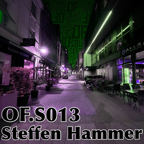 OF.S013 - Steffen Hammer